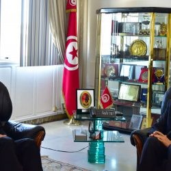 وزير الدفاع الوطني يتحادث مع سفير المجر بتونس